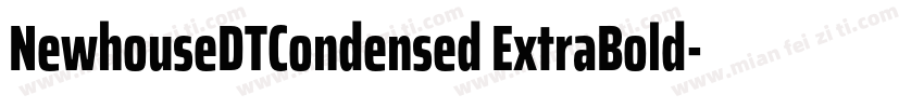 NewhouseDTCondensed ExtraBold字体转换